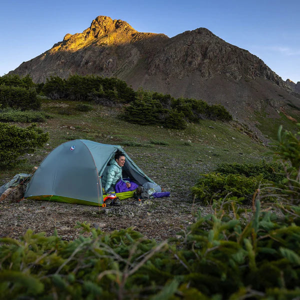 BIG AGNES Tiger Wall UL1