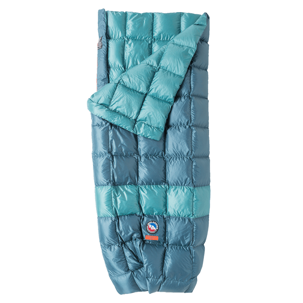 Big cheap agnes pitchpine